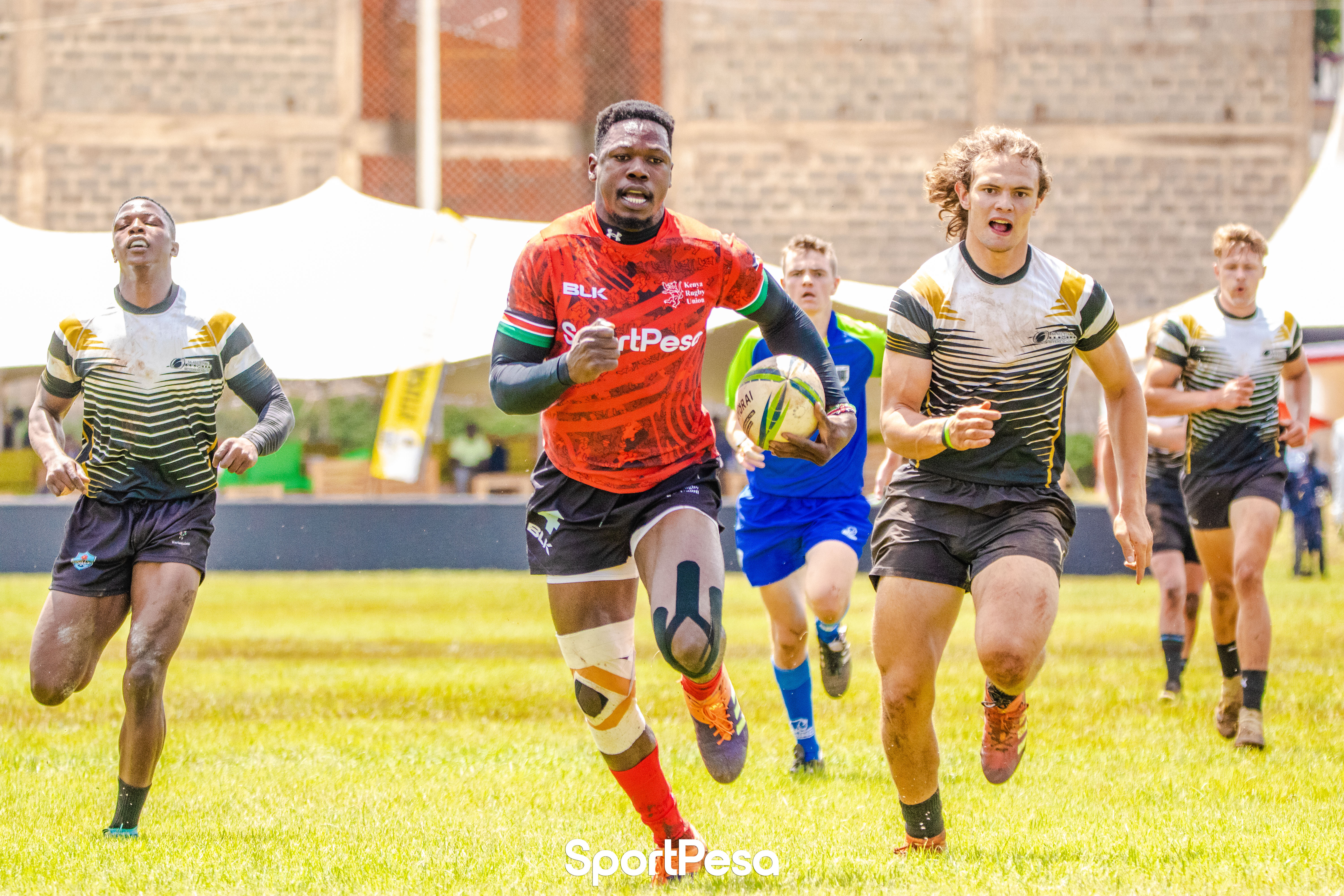Safari 7s 2024