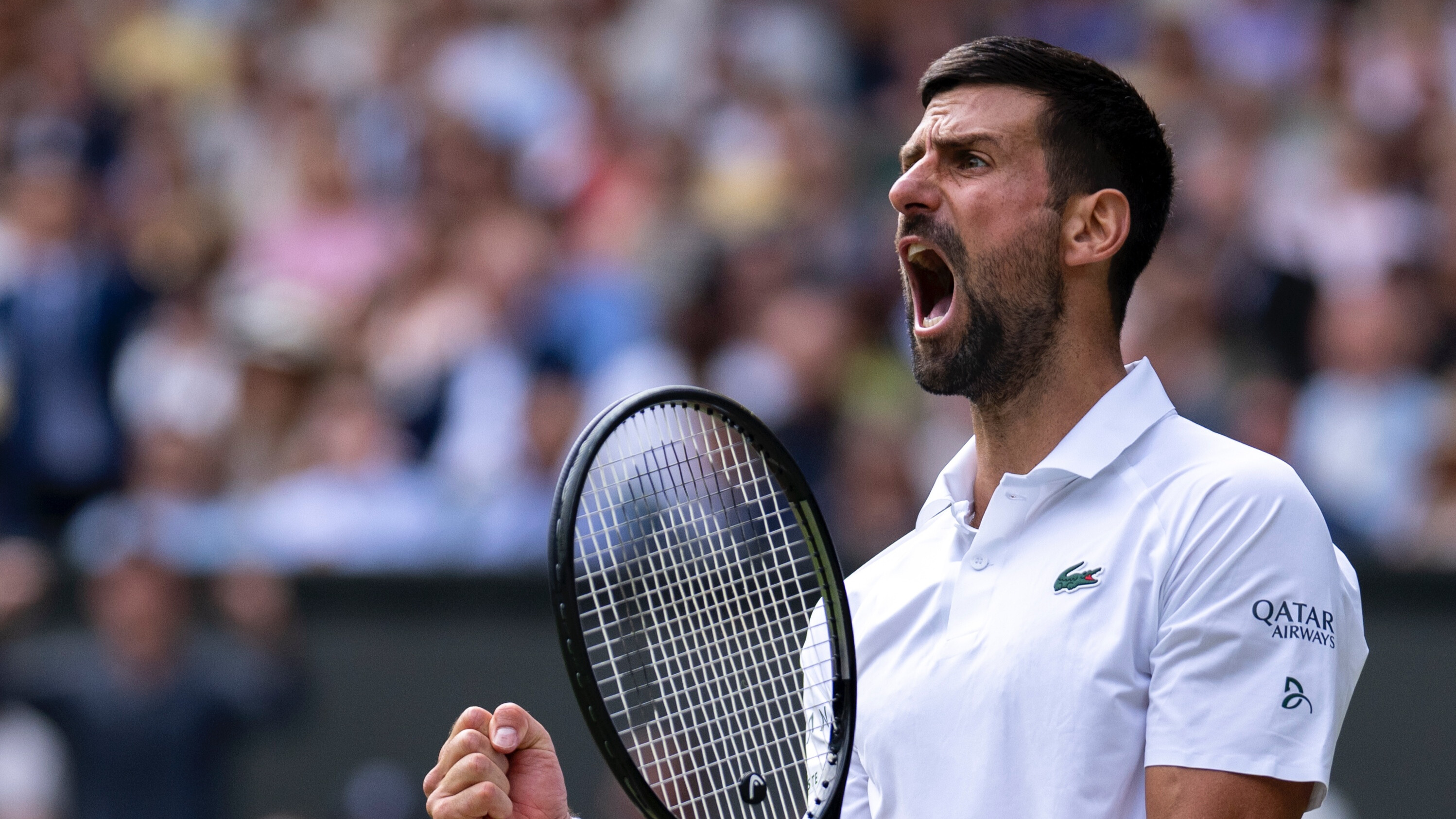 Wimbledon 2025 quarters
